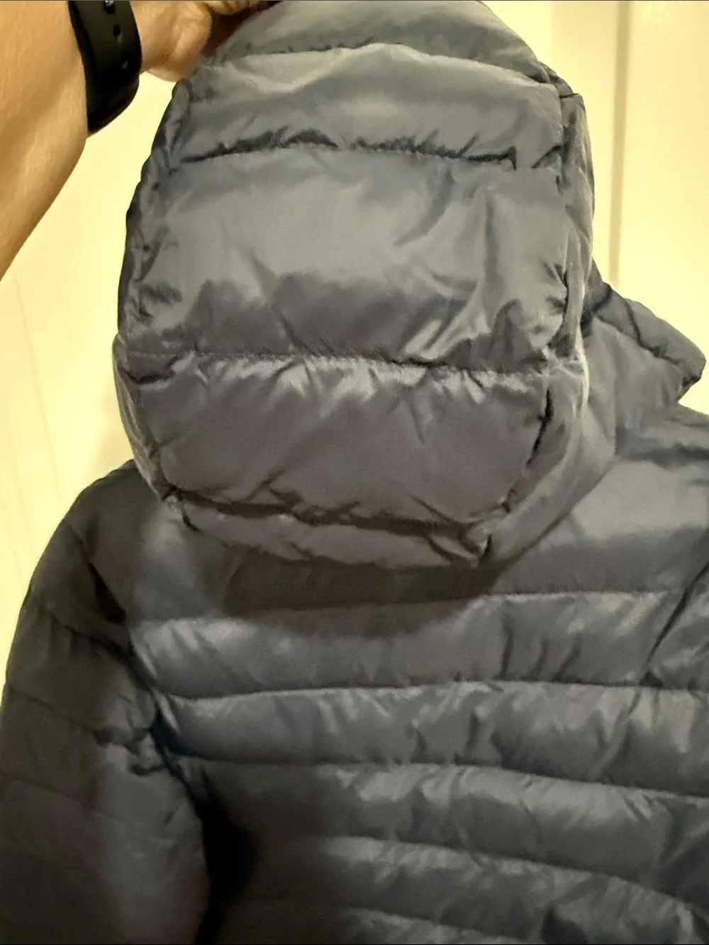 Women's Navy Hooded Puffer Jacket - Lightweight Insulated Coat